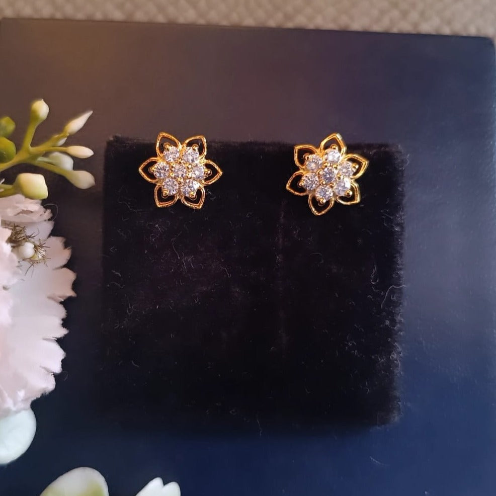 925 Silver Ami Earrings